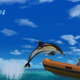 Illustration for article titled Taking A Dip In Endless Ocean 2 Screenshots